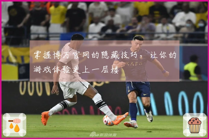 掌握博万官网的隐藏技巧，让你的游戏体验更上一层楼
