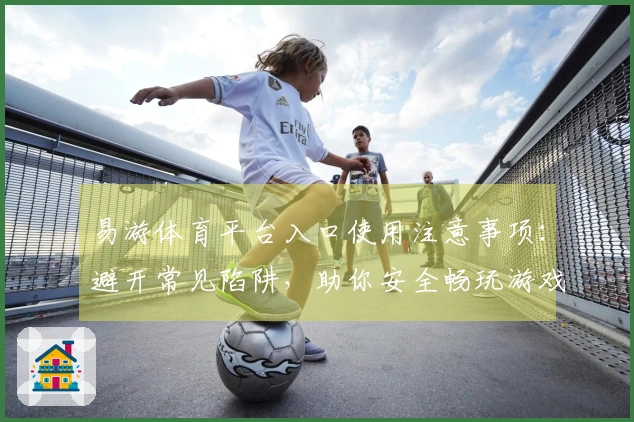 易游体育平台入口使用注意事项：避开常见陷阱，助你安全畅玩游戏